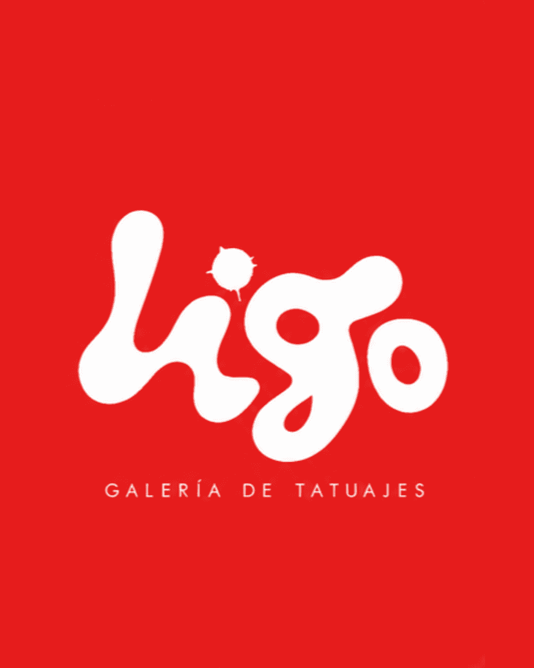LIGO 5