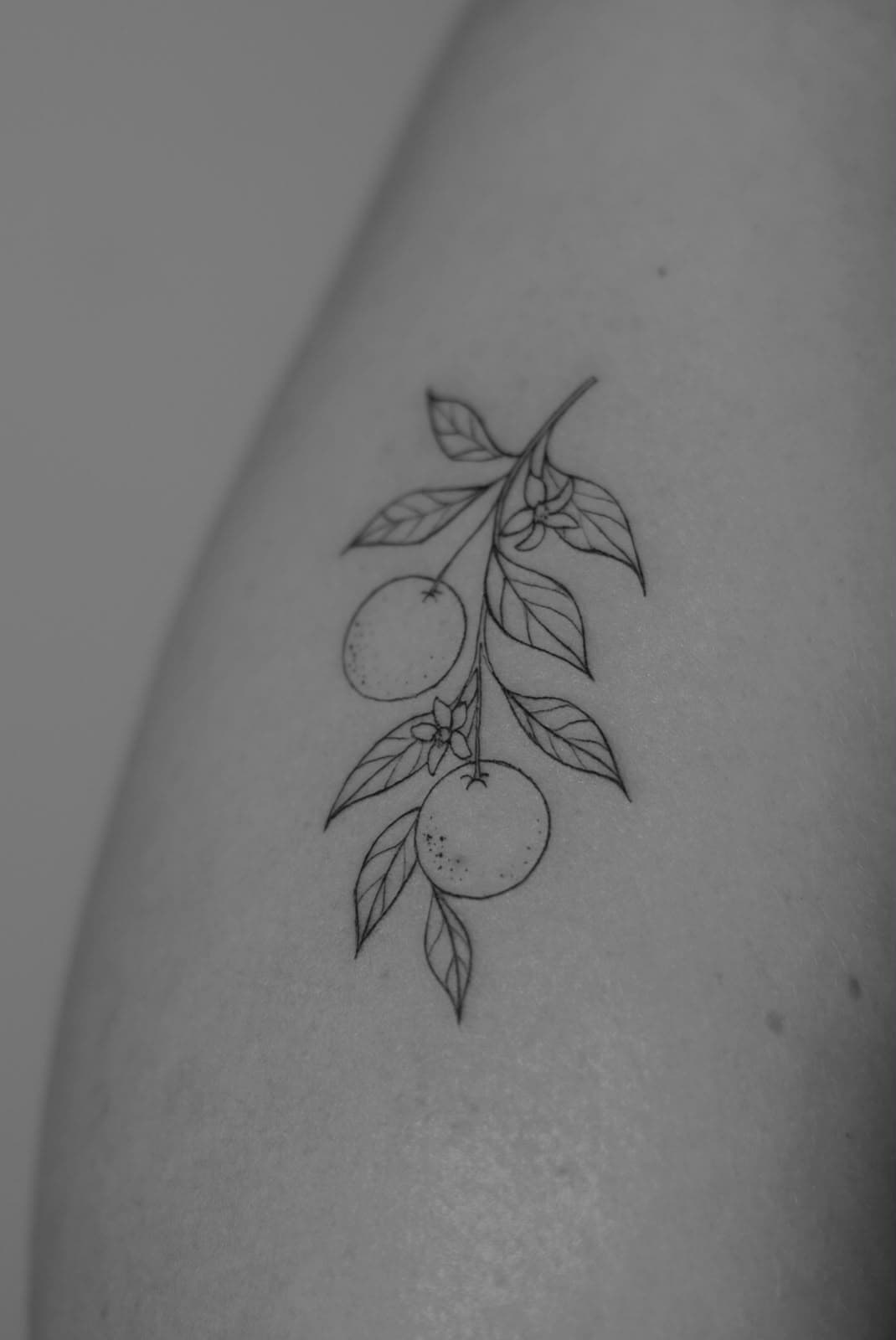 Tattoo made at LIGO Tattoo Gallery, Seville 6